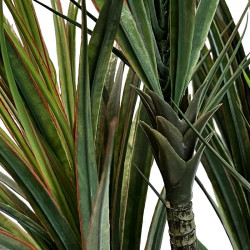 Dracaena Marginata växt, Dracaena träd, 110cm, UV, konstgjord
