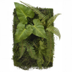 Väggpanel av mossa och växter, H60cm x B40cm, konstgjord vä xt