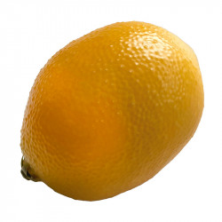 Citron, konstgjord mat / konstgjord frukt