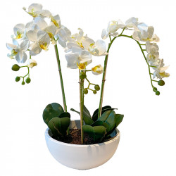 Orkidé i vit kruka, 4 grenar, 50cm, konstgjord blomma