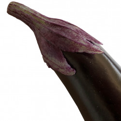 Aubergine, 18cm, kunstig mad