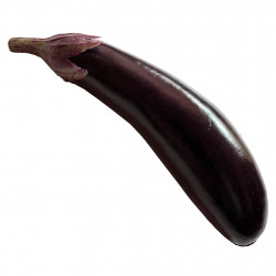 Aubergine, 18cm, kunstig mad