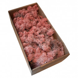 Mossa, äkta Finland torkad mossa, 500 g, rosa