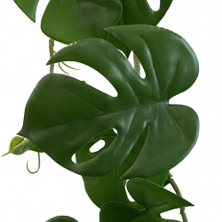 Monstera ranka, 180cm, konstgjord växt