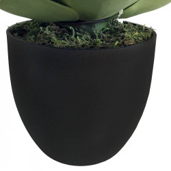 Agave Parrasana-växt i svart kruka, 50 cm, konstgjord växt