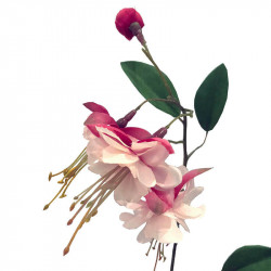 Fuchsia-kvist, Rosa, konstgjord blomma