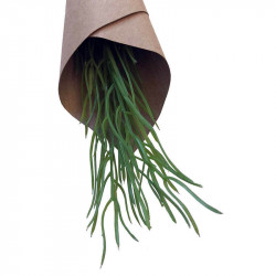 Kryddört, Gräslök 25 cm i pappersomslag, konstgjord växt