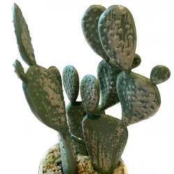 Kaktus i kruka, 20cm, konstgjord växt