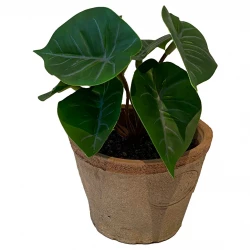 Anthurium miniväxt i kruka, 13cm, konstgjord växt