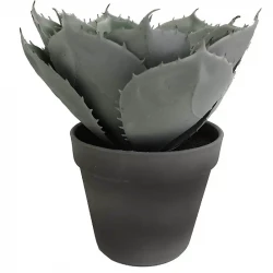 Suckulent i kruka, 23 cm, konstgjord växt