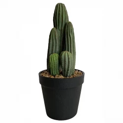 Kaktus i svart kruka, 28 cm, konstgjord växt