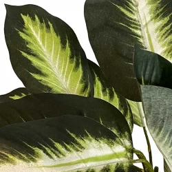 Prickbladsväxt / Kalatea i kruka, 43 cm, konstgjord växt