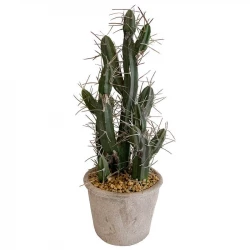 Stetsonia Kaktus, H 40cm, konstgjord växt