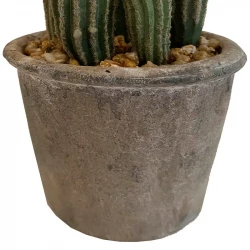 San Pedro Kaktus, H: 37 cm, konstgjord växt