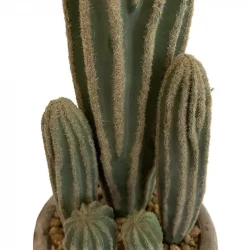 San Pedro Kaktus, H: 37 cm, konstgjord växt