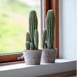 San Pedro Kaktus, H: 37 cm, konstgjord växt