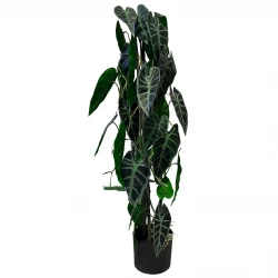 Alocasia växt i kruka, 75cm, Konstgjord växt