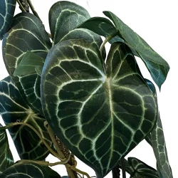 Araceae i kruka, 75cm, Konstgjord växt