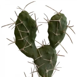 Sabrakaktus, H: 42 cm, konstgjord växt