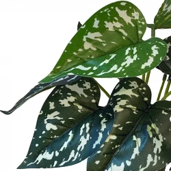Silverkalla / Aglaonema växt, 25cm, konstgjorda växter
