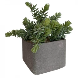 Suckulent i fyrkantig grå kruka, 27cm, konstgjord växt