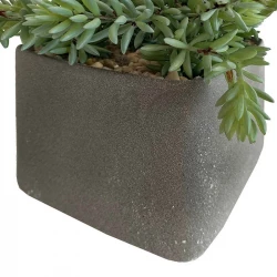 Suckulent i fyrkantig grå kruka, 27cm, konstgjord växt