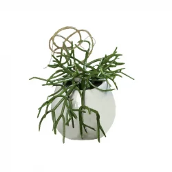 Häng suckulent, 16cm, keramikkruka med upphängning, konstgjord växt
