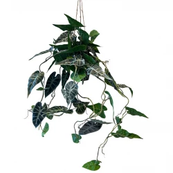 Alocasia hängande växt i kruka, 80cm, konstgjord växt