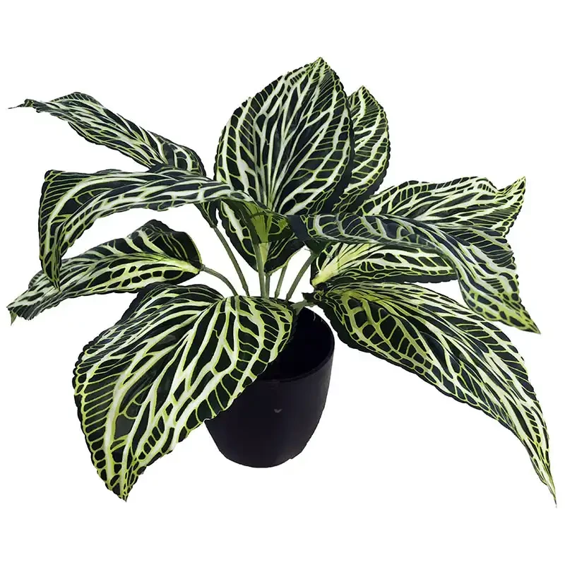 Silverkalla / Aglaonema växt, 30cm, konstgjorda växter