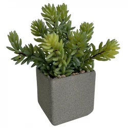 Suckulent i fyrkantig, grå kruka, 19cm, konstgjord växt
