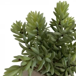 Suckulent i fyrkantig, grå kruka, 19cm, konstgjord växt