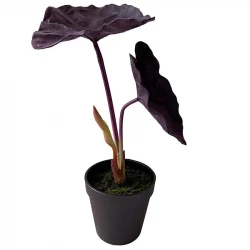 Alocasia i kruka, 40cm, UV, konstgjord växt