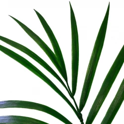 Arekapalm, 90 cm, UV, konstgjord växt