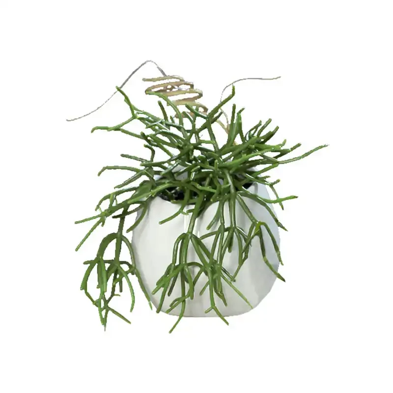 Häng suckulent, 25cm, keramikkruka med upphängning, konstgjord växt