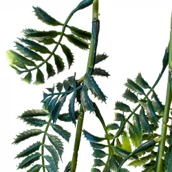 Hängande mimosa, 80cm, UV, konstgjord växt