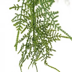 Fjädersparris hängväxt, 100cm, konstgjord växt