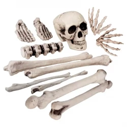 Skelett-set med 12 delar