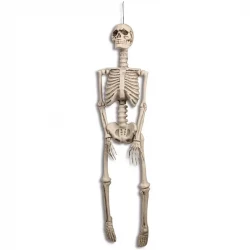 Skelett, halloween, 92 cm