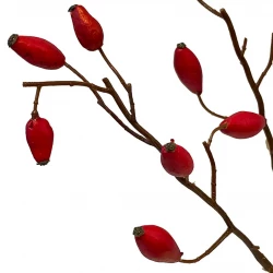 Tranbärsgren, 46cm, konstgjord växt