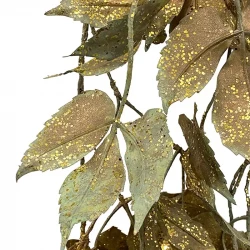 Murgröna, guld, 152 cm