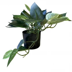 Guldranka hängande växt i kruka, 55cm, konstgjord växt