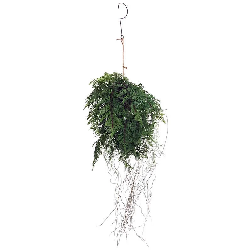 Ormbunke hänger m rötter, 35cm, konstgjord växt