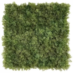 Mossplatta, UV-skyddad, 50 x 50 cm, konstgjord växt