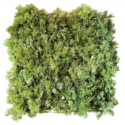Mossplatta, 25x25cm, UV, konstgjord växt
