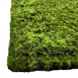 Mossplatta, bergklomossa, 100x100cm, konstgjord planta