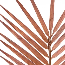 Palmblad, 109 cm, konstgjort blad