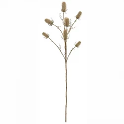 Vävarkarda, Dipsacus sativus, beige,105cm, konstgjord planta