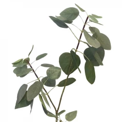 Bladgren, Perukbuske -Grön, konstgjord gren