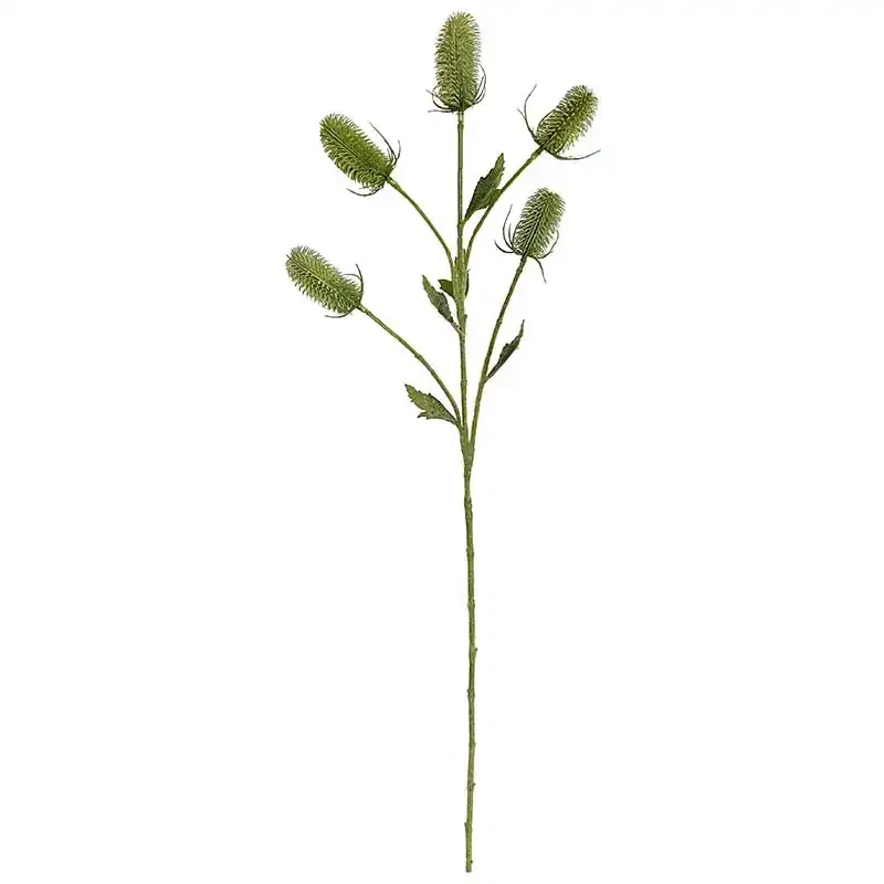 Vävarkarda, Dipsacus sativus, grön, 90cm, konstgjord planta