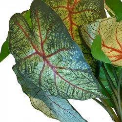 Vattenväxt med rötter, caladium, gron, 40cm, konstgjord växt